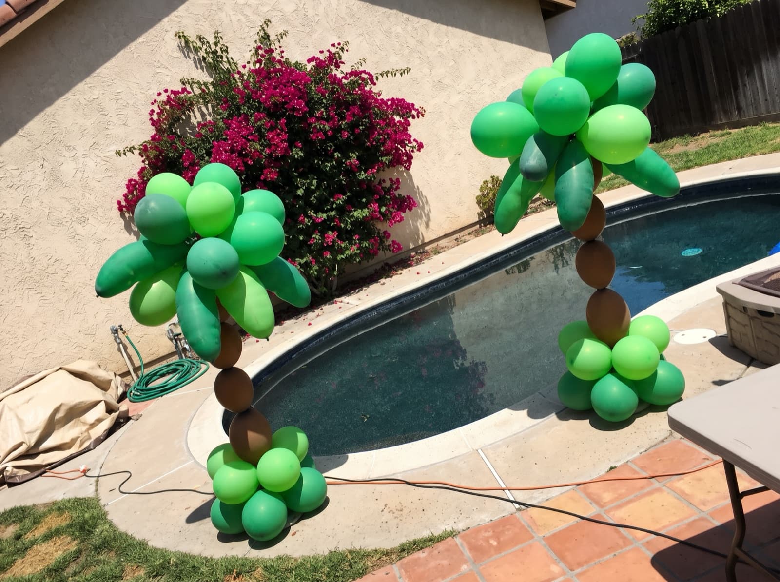 Balloon palm trees beside a backyard pool